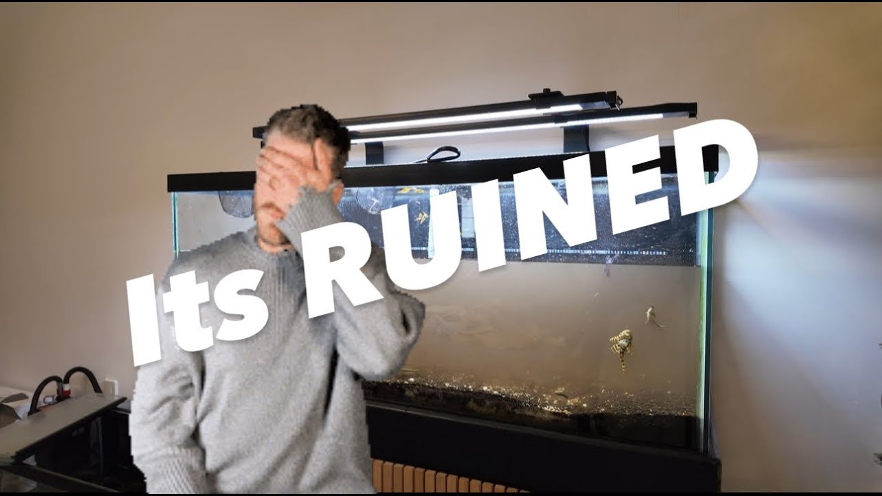 Сверление отверстий в моем 75-галлонном аквариуме