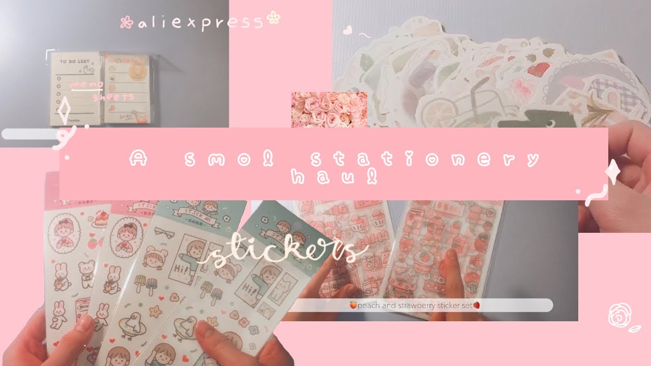 ↠a smol stationery haul↞ /Ali express haul /welcome to my channel❀
