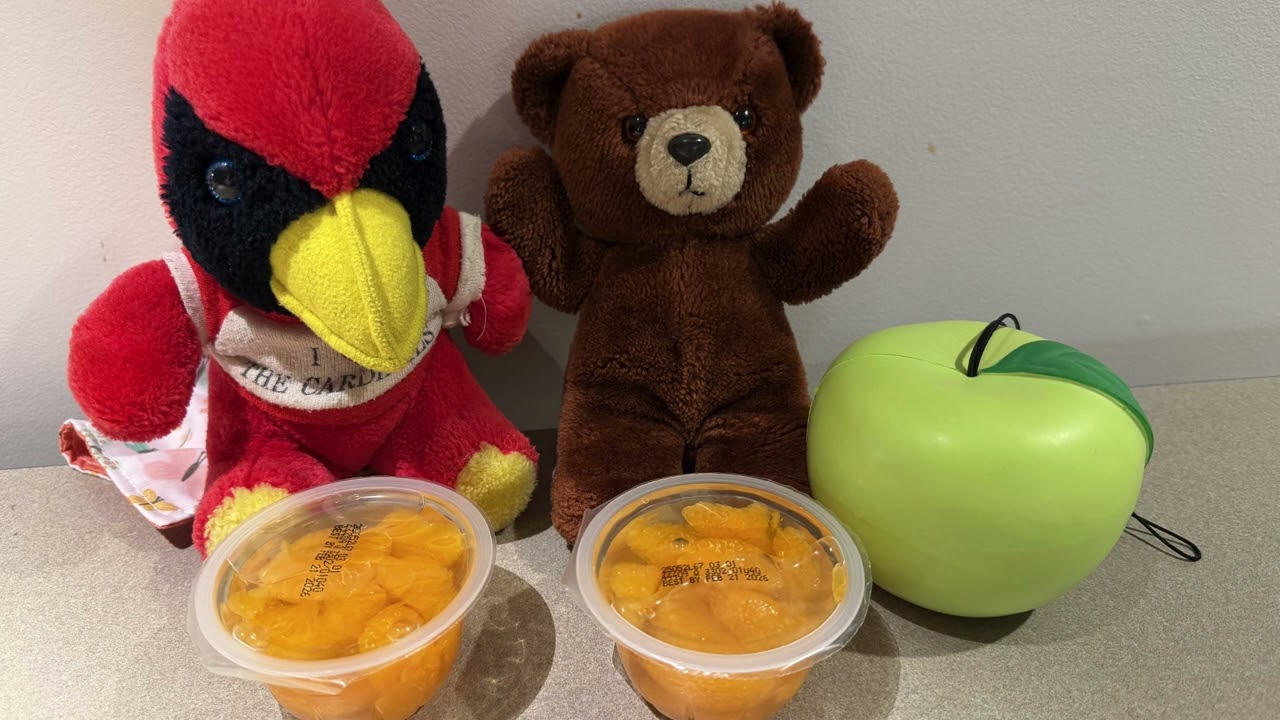 2026 Stuffed Animal Sleepover