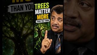 Trees Are More Alive Than You Think