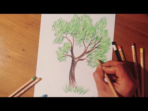 ხის დახატვა  ფერადი ფანქრებით//Draw a tree with colored pencils