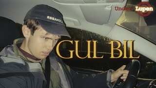 Under Lupen: Gul Bil