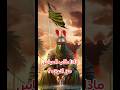 ماذا أراد أبا الفضل العباس من اخوته الشيخ احمد الوائلي ماذا أراد أبا الفضل العباس من اخوته الشيخ احمد الوائلي