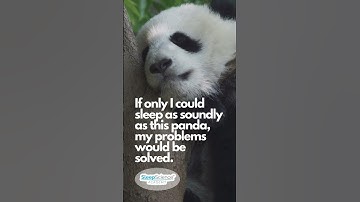 Sleep like a Panda, Sign up for Sleep Science Academy
