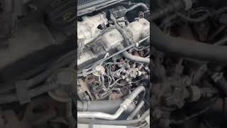 2008 Ford Focus 1.8 tdci Lynx - Injector Rattle?