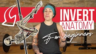Which muscles do we use? Full nerdy breakdown of the pole invert (for beginners)