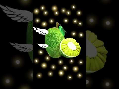 Miracle Jackfruit :