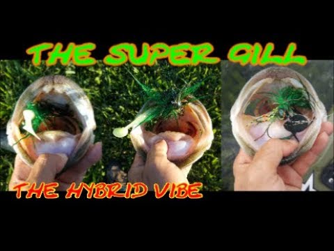 kayak flight THIS IS ONE BADASS LURE!! The SUPER GILL by Nate's Custom Baits!