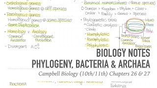 1001 Notes 📒 Ch 26 & 27 Phylogeny, Bacteria & Archaea 📝 Campbell Biology (10th/11th) Notes