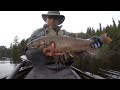 Algonquin Park Solo 6 Day Canoe Camp Fishing Trip May 2015