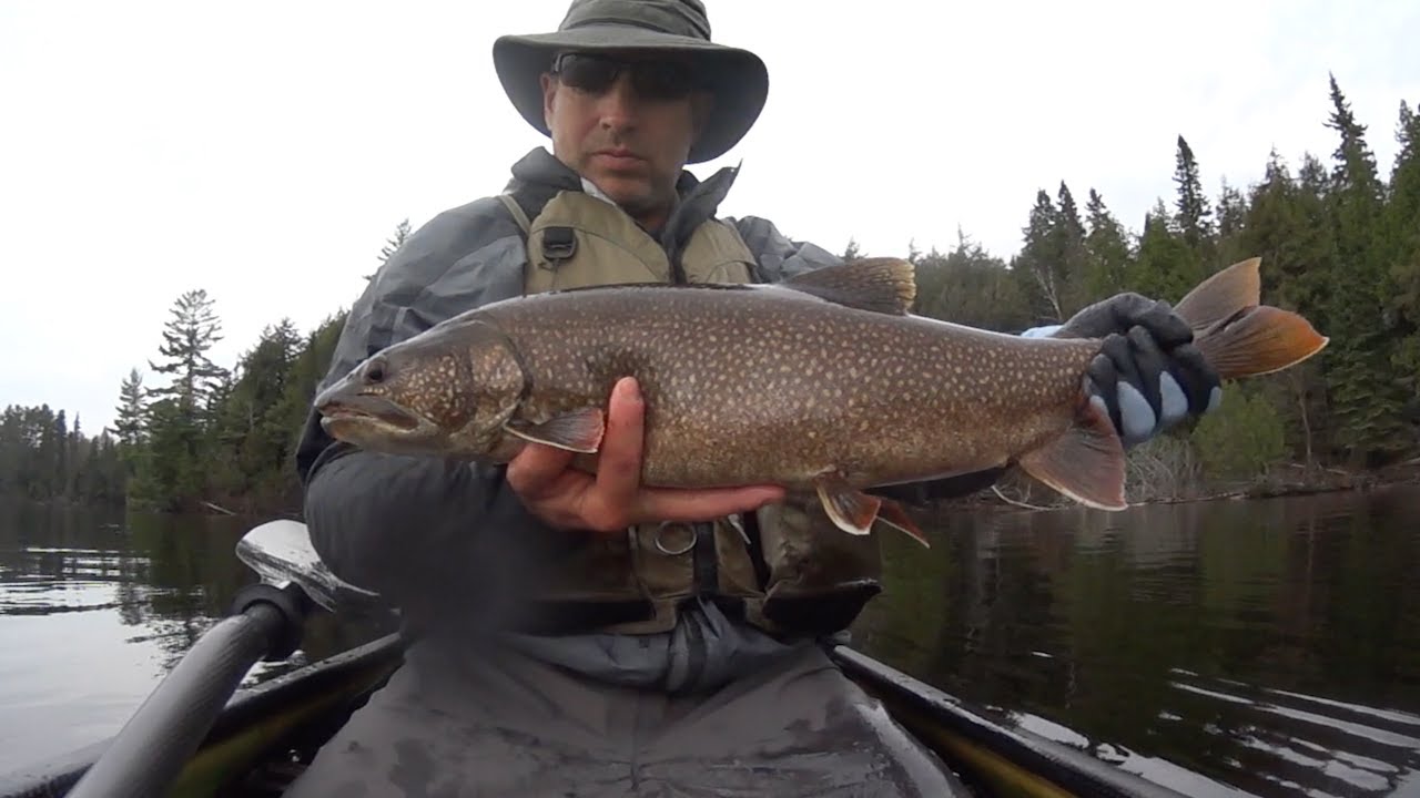 Algonquin Park Solo 6 Day Canoe Camp Fishing Trip May 2015 YouTube