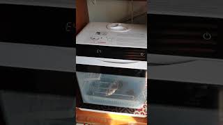 BlitzWolf dishwasher errore code E4