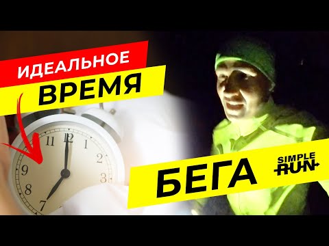 Утром ☀️, днём или вечером 🌙? Когда полезнее и эффективнее бегать? ⏰