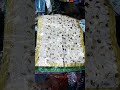 Shorts Tiktok Nashida Shortvideo Habesha Shorts Tiktok Nashida Shortvideo Habesha