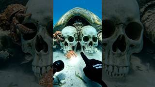 I Found A Two-Headed Skeleton Its Real