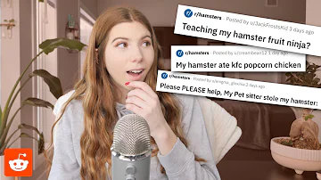 Reading r/hamsters posts on Reddit