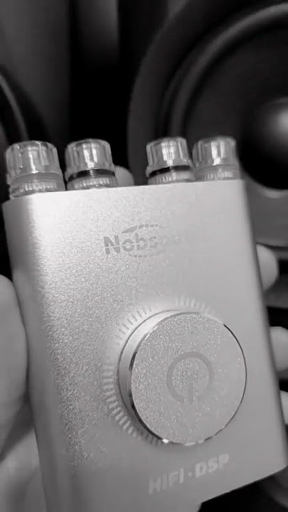 Nobsound NS-20G (200W) #amp #miniamp #bassmusic #audio #hifi