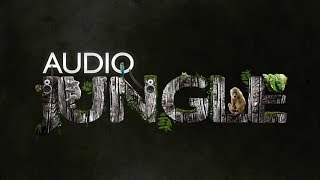 Sound - Fast Whoosh Jungle Download