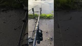 Carp run on the Delkims (53) #fishing #carping#carpruns#carpbites&runsuk