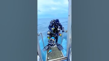 Navy cruise ship 🚢 status🌹|| Navy ship 🚢 status 🌹|| Navy WhatsApp status #shorts​ #viralshorts​ #shi