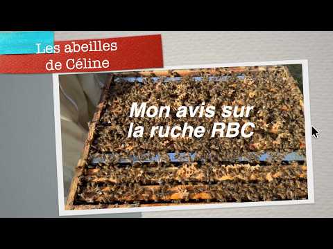 My opinion on the RBC beehive #beekeeping #beekeeping #RBCbeehive