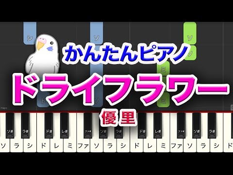 ドライフラワー　簡単ピアノ