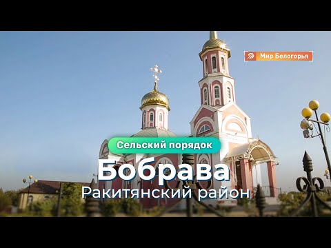 «Сельский порядок». Бобрава