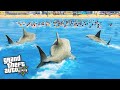 GTA 5 FAILS & EPIC MOMENTS #70 (GTA 5 Funny Moments)