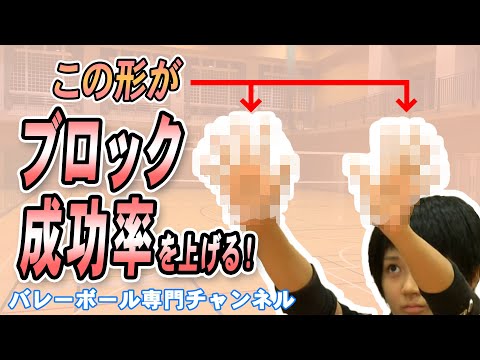 バレーボール革命!!～ブロックを軸にした女子チーム強化法