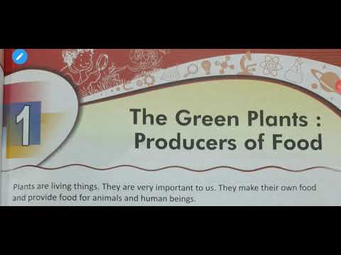 Class-4 Science chapter-1 The Green Plant: Producers of Food - YouTube