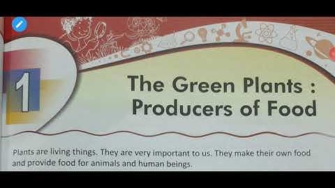 Class-4 Science chapter-1 The Green Plant: Producers of Food
