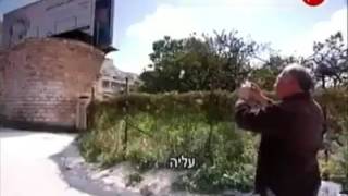قطار فلسطين