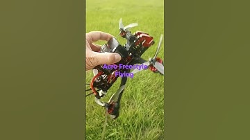 HGLRC Sector 5 Dead Cat