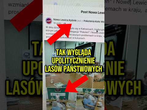 Lasy Państwowe dają świnię Lewicy?