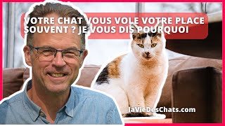 VOTRE CHAT VOUS VOLE VOTRE PLACE ? SOUVENT ? VOICI POURQUOI