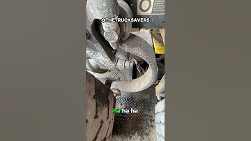 Can This Alignment Still Be Good With Bushings Like These?