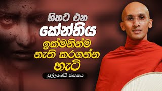 233. කේන්තිය ඉක්මනින් නැති කරගන්න හැටි | චුල්ලබෝධි ජාතකය | 2024-01-15