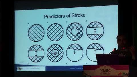 AIOC2017 - Current Concepts  Emergency Neuro Ophthalmology (18.02.2017 / 13:30-14:25 / HALL: F)
