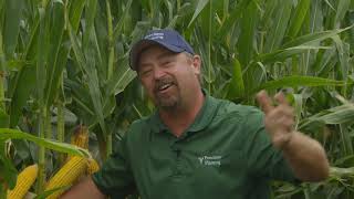 InsidePTI S1•E58 | Irrigated vs. Non-Irrigated
