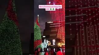 Chirstma Vibes In Benguluru