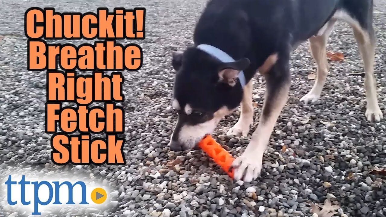 chuckit stick