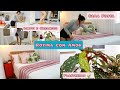 ROTINA DE CASA COM AMOR | LIMPEI E ORGANIZEI | CAMA POSTA | PLANTINHAS | CUIDANDO DO LAR | FER DINIZ