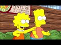 Los Simpson El Videojuego Capítulo 4 Español Gameplay/Walkthrough PS3/Xbox 360