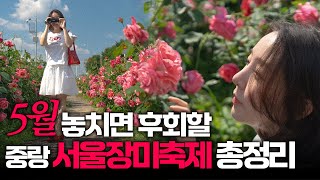 꼭 가야할 5월 서울 데이트코스 | 요즘 서울에서 가장 예쁜 곳🌹 중랑 서울장미축제 | 서울 놀거리, 서울 여행, 서울축제, 서울 가볼만한 곳