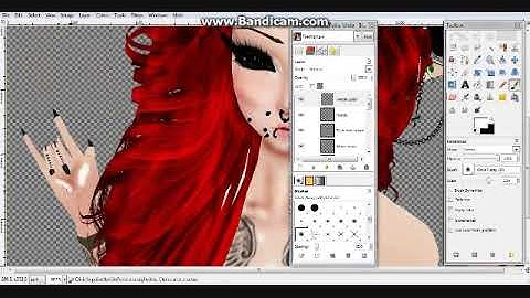 IMVU-Gimp (Speed edit)