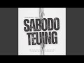 Sabodo Teuing