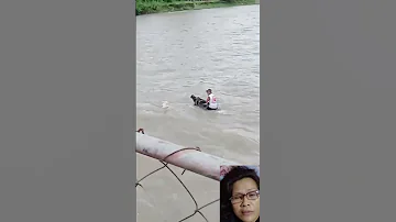 Nakakaawa Ang Karabaw Bakit Kailangan Pang Itawid Sa Ilog Baha Baha Shorts Trending 