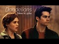 Stiles & Lydia I Dandelions