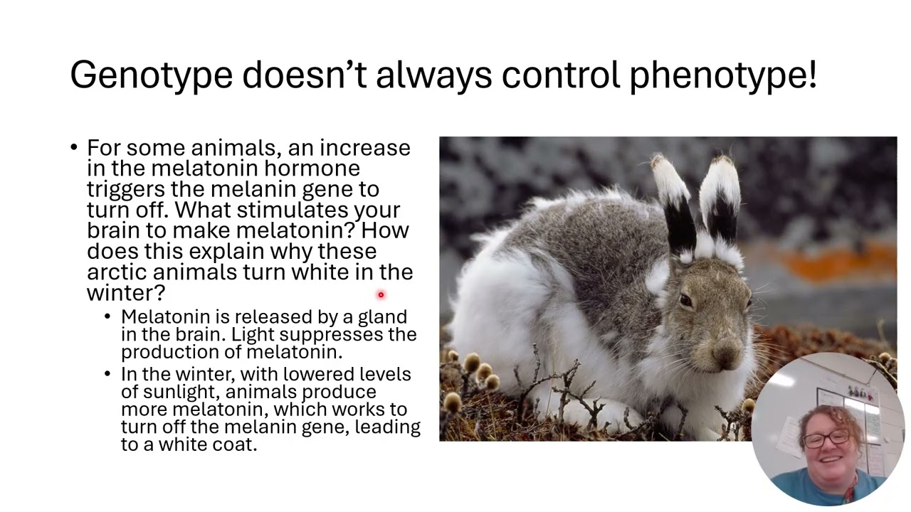5 5 Environmental Effects onPhenotype
