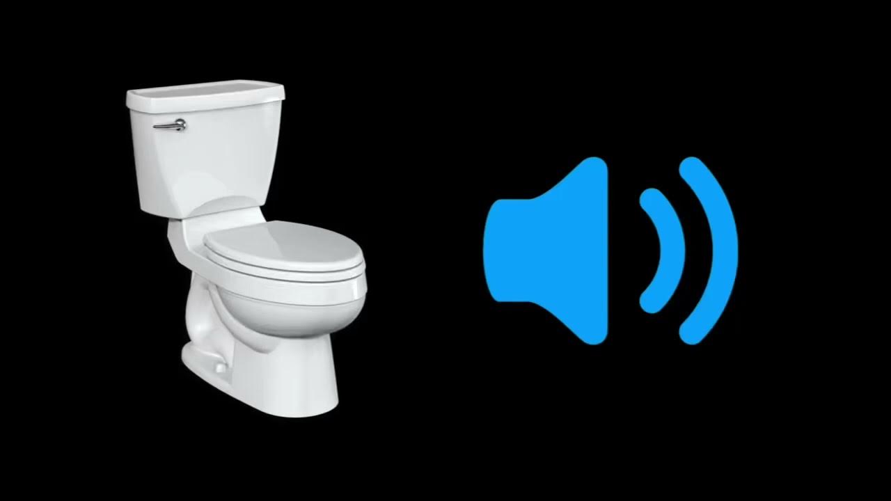Toilets sounds